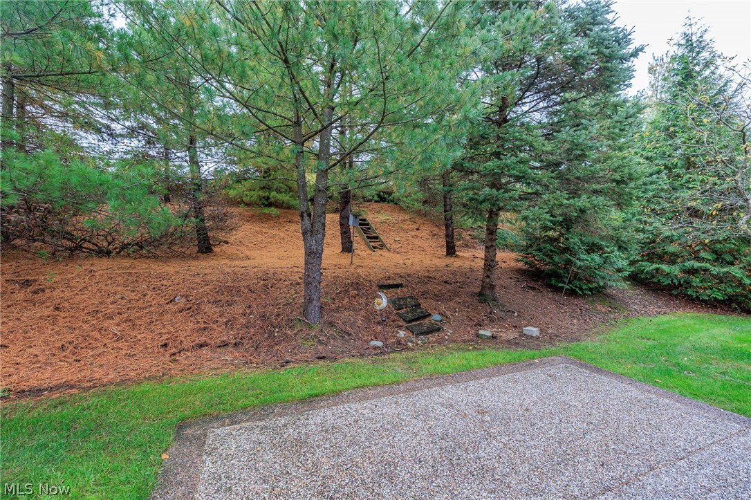 3973 Dogleg Trail Medina OH 44256