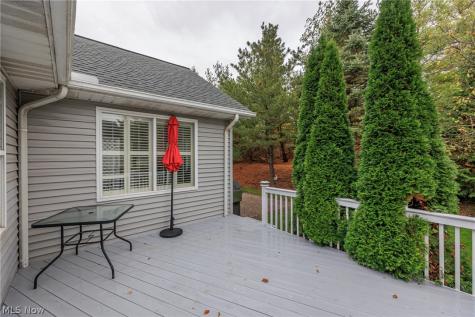 3973 Dogleg Trail Medina OH 44256