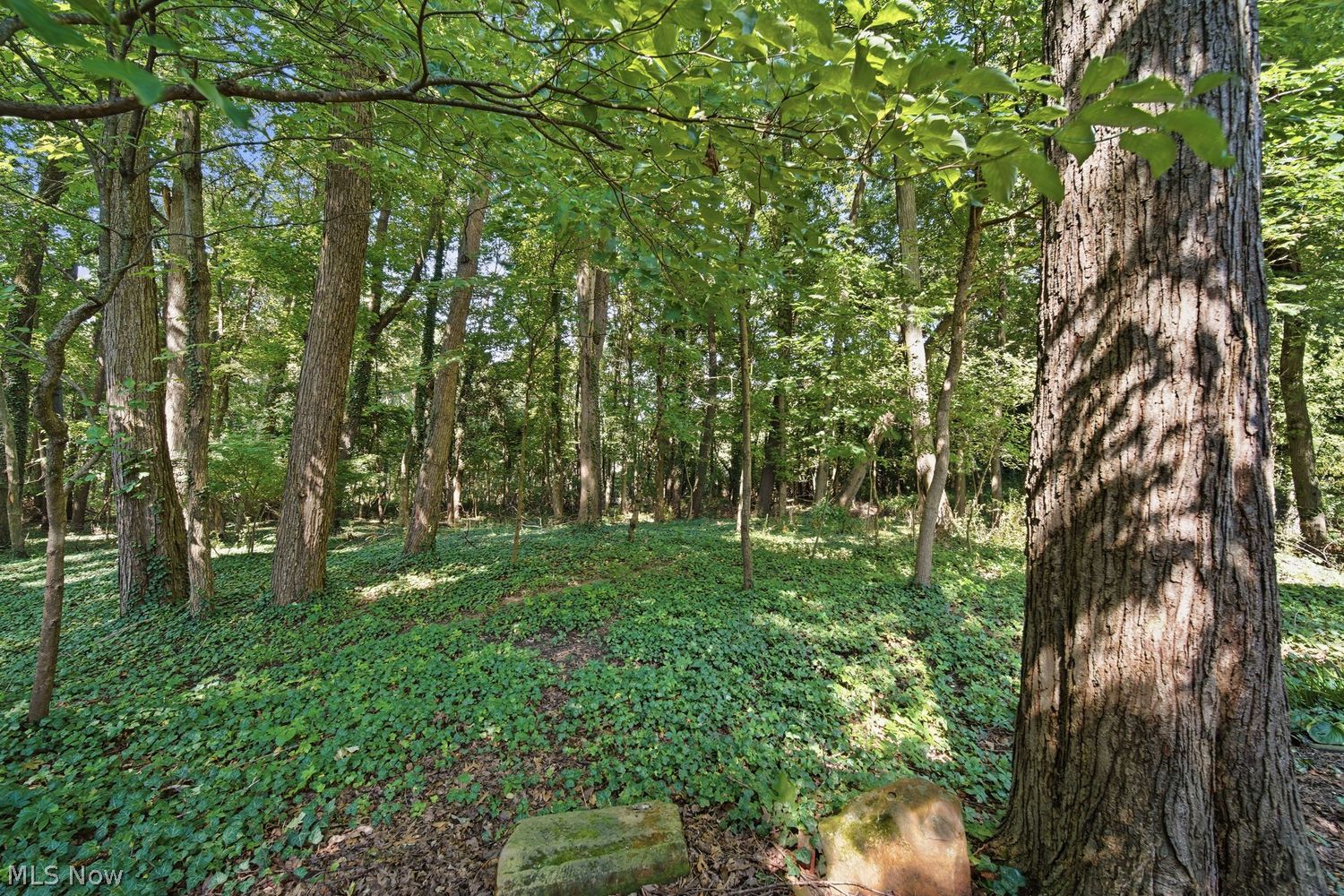 6368 Chiltern Road NW Canal Fulton OH 44614