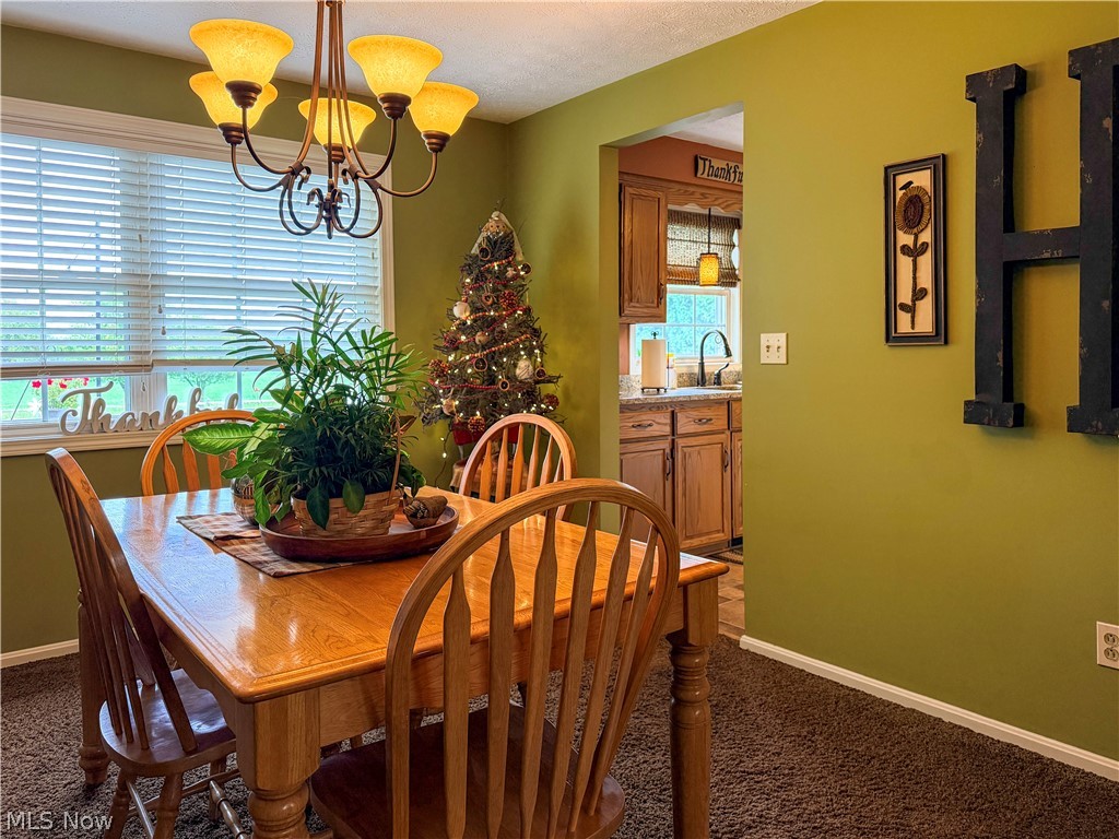 770 Woodview Drive Ashland OH 44805