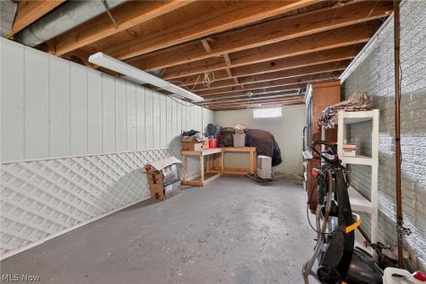 106 Howe Street Lodi OH 44254