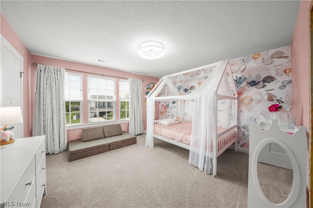 8513 Raya Lane Streetsboro OH 44241