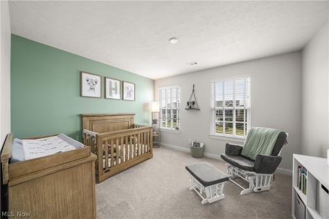 8513 Raya Lane Streetsboro OH 44241