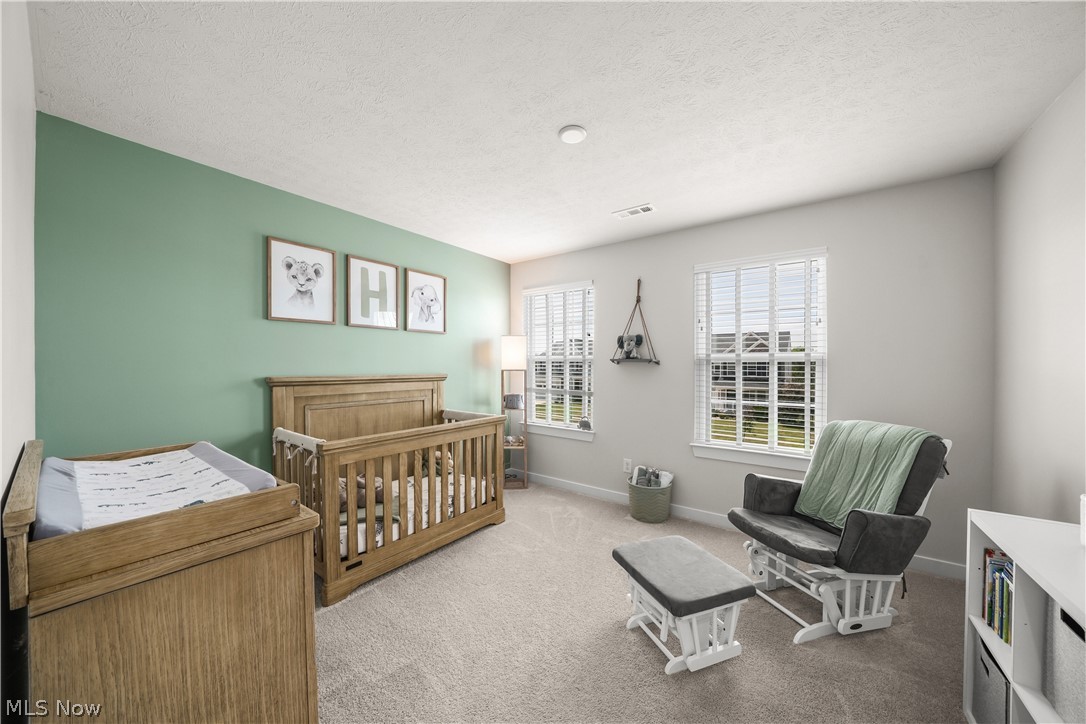 8513 Raya Lane Streetsboro OH 44241