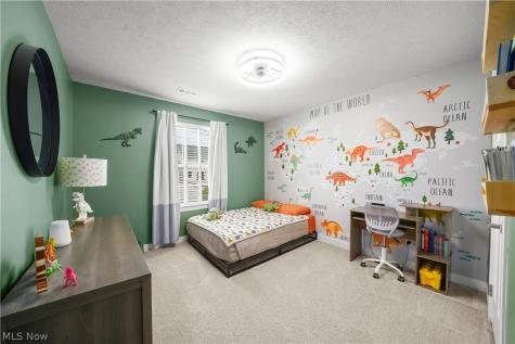 8513 Raya Lane Streetsboro OH 44241