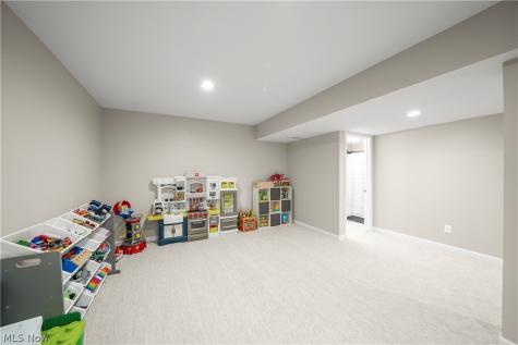 8513 Raya Lane Streetsboro OH 44241