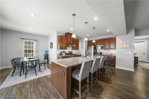 8513 Raya Lane Streetsboro OH 44241