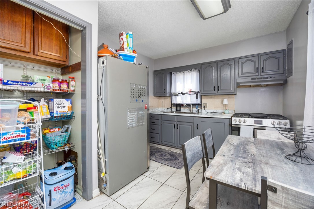 15806 Eleanore Drive Cleveland OH 44135