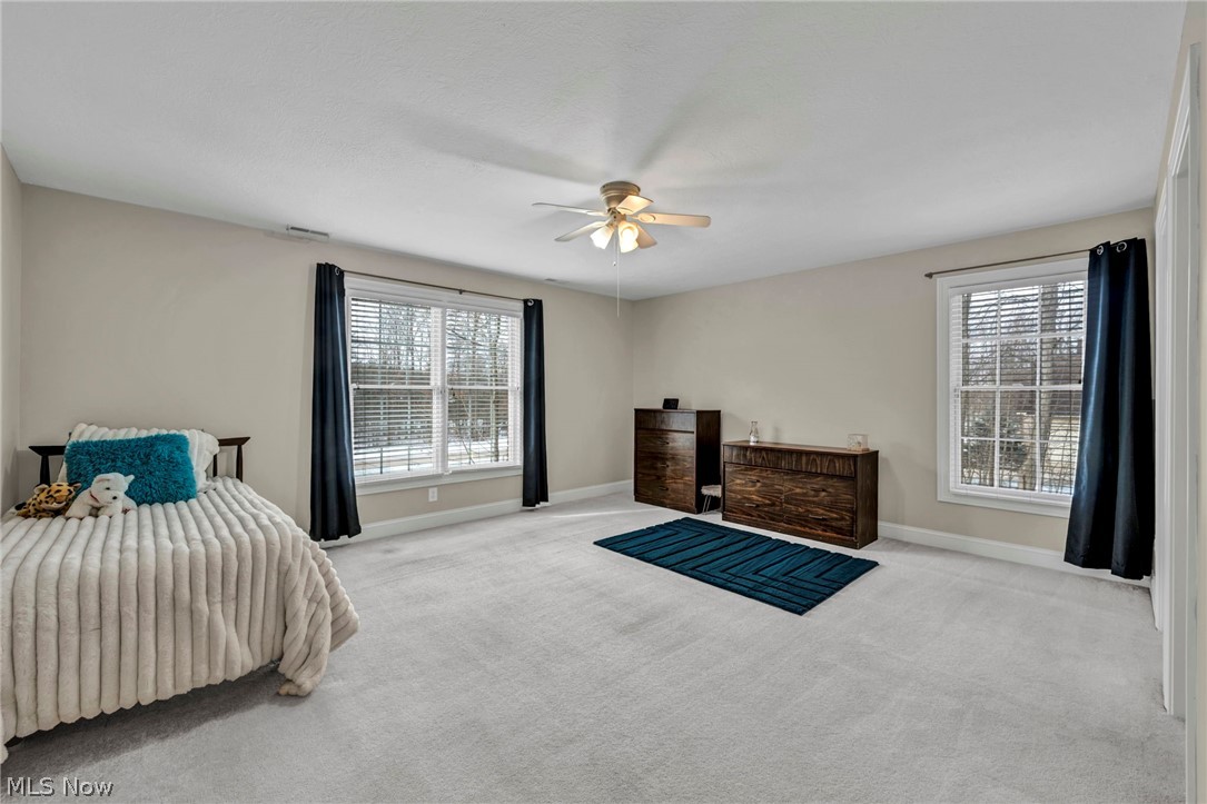1953 Stone Ridge Drive Hinckley OH 44233
