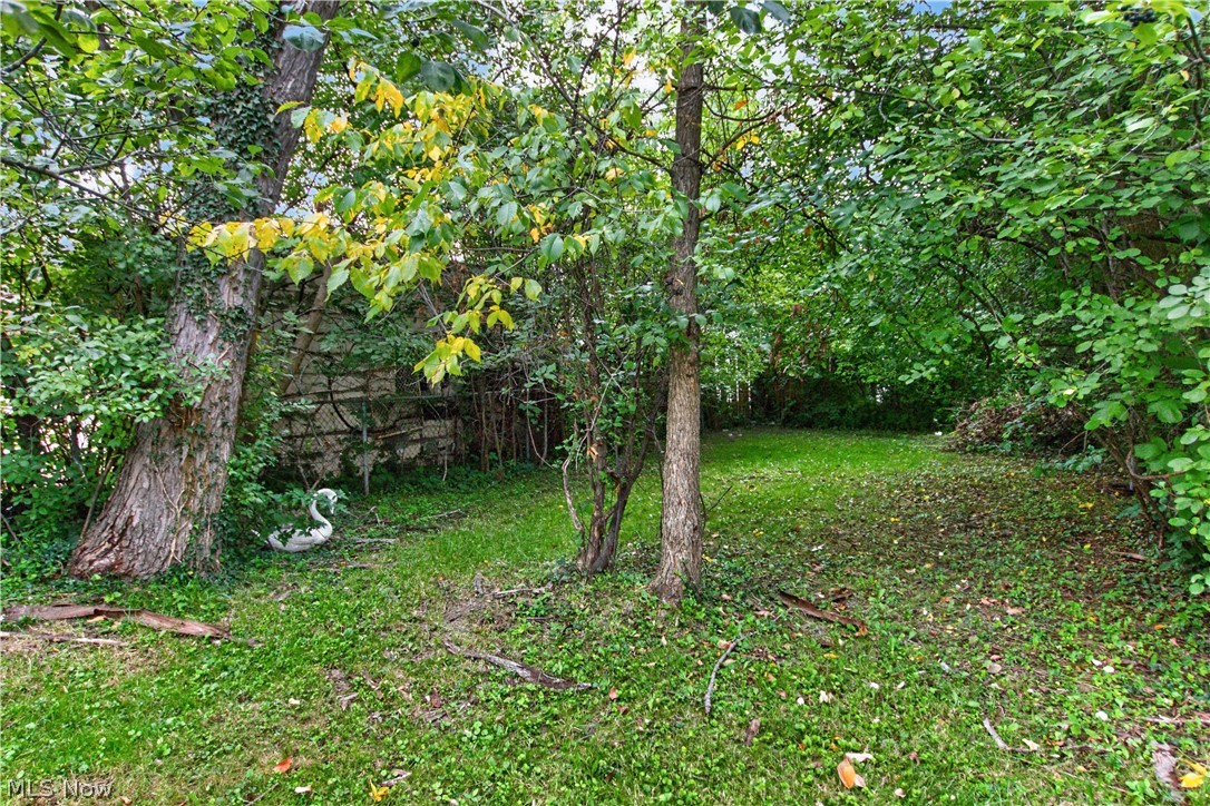 3357 E 149th Street Cleveland OH 44120