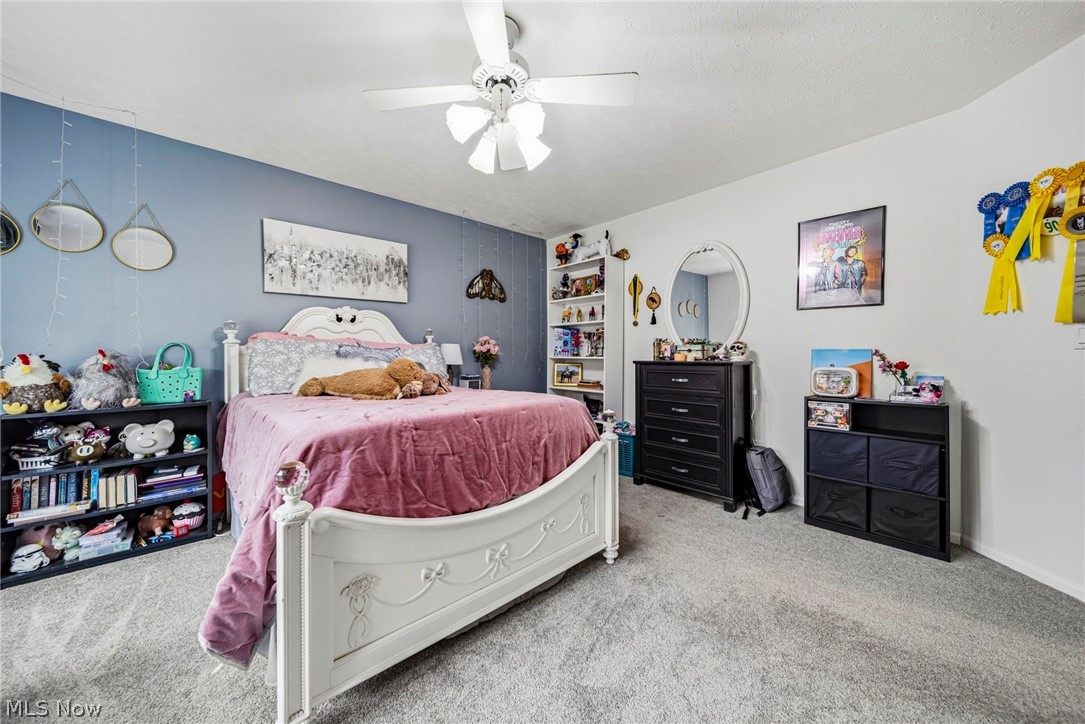 10830 Lakebrook Drive Kirtland OH 44094
