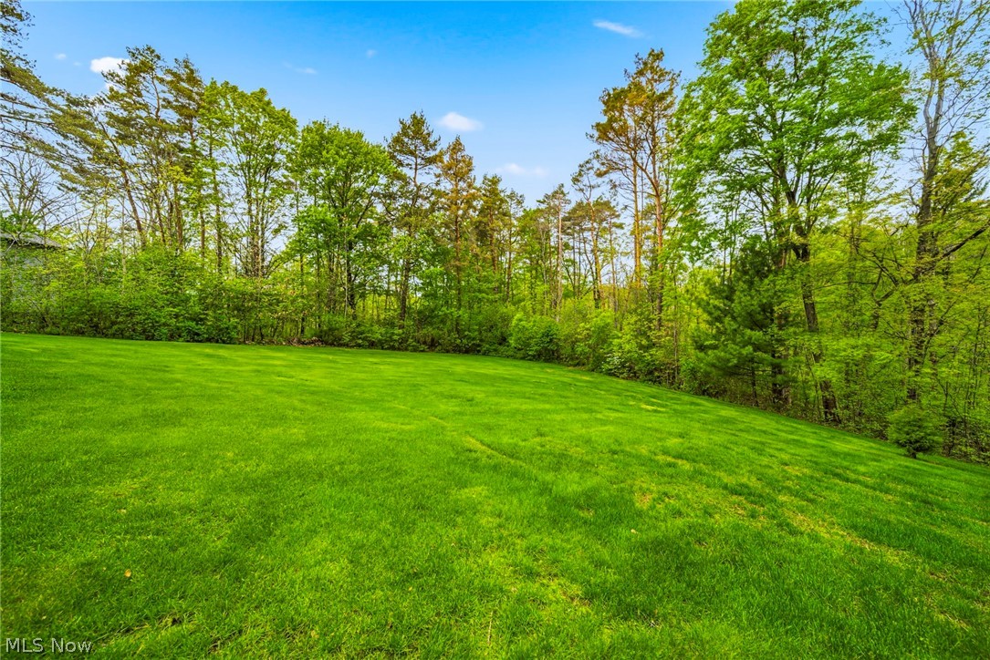 10830 Lakebrook Drive Kirtland OH 44094