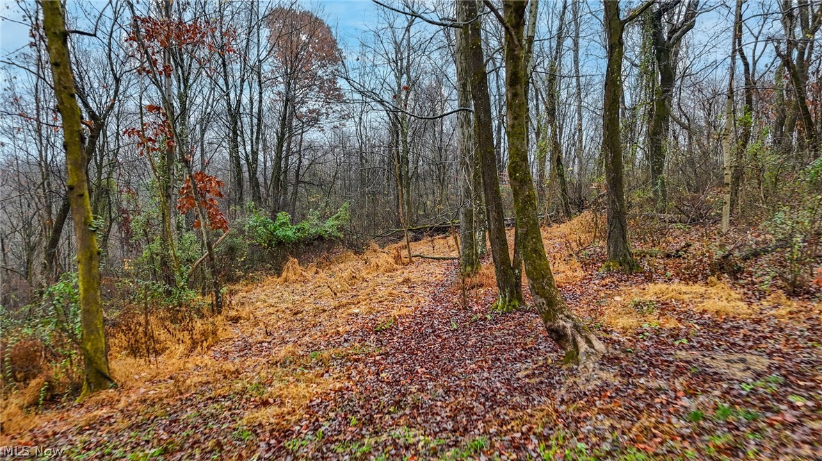 169 Kinderhook Ridge Road Newport OH 45768