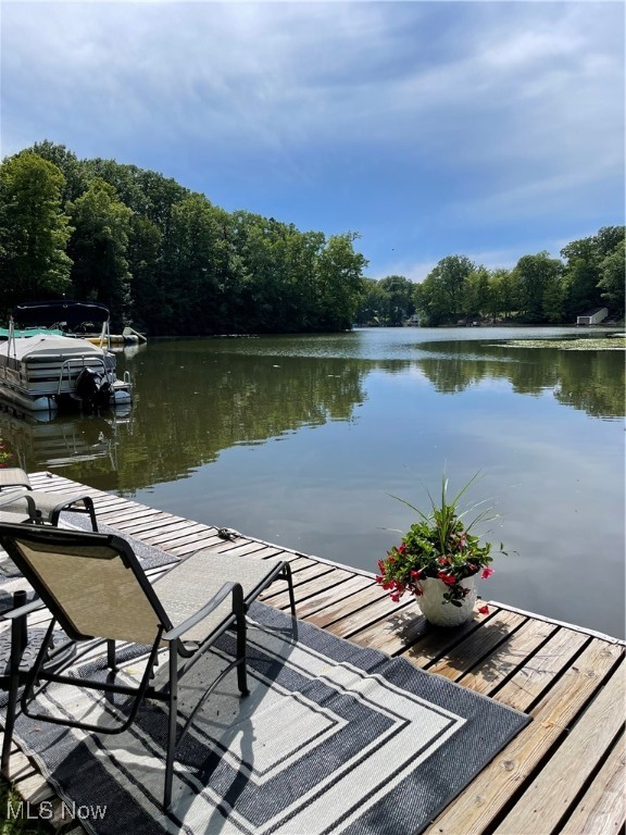 2335 Morning Star Drive Roaming Shores OH 44084