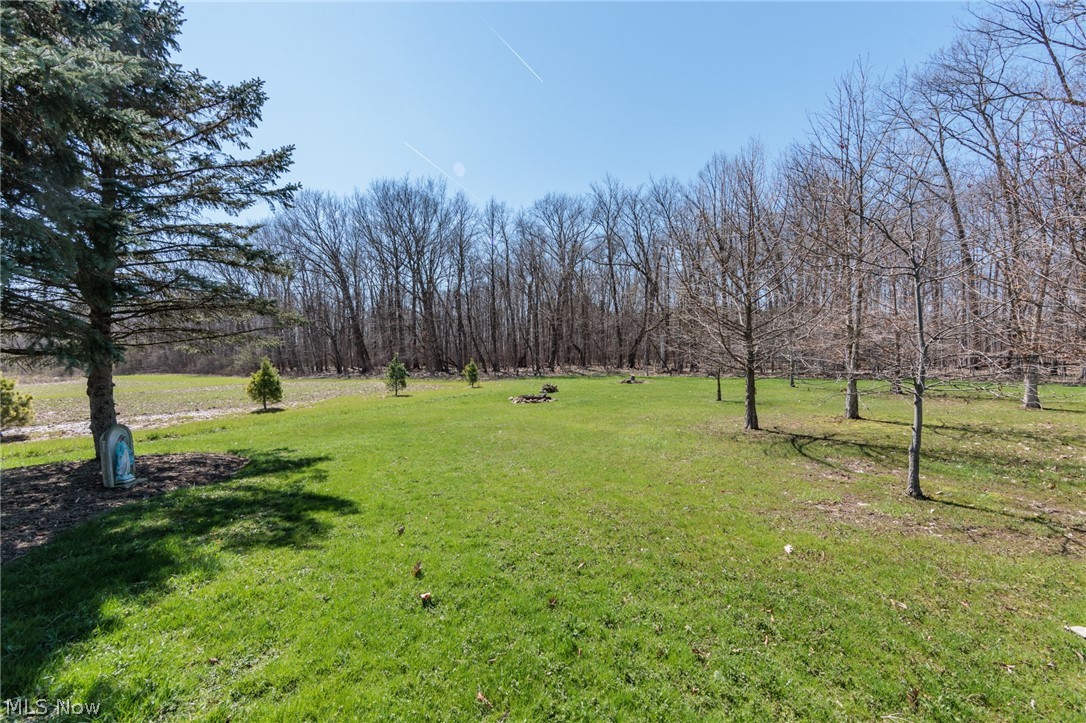 7310 Wolff Road Medina OH 44256
