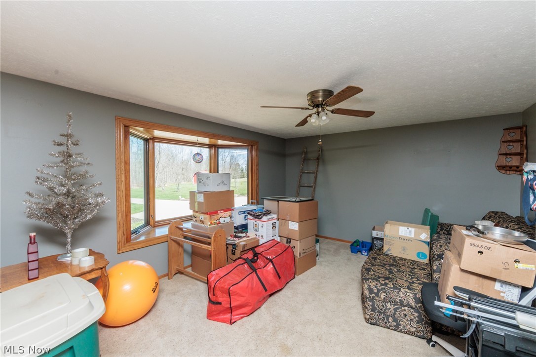 7310 Wolff Road Medina OH 44256