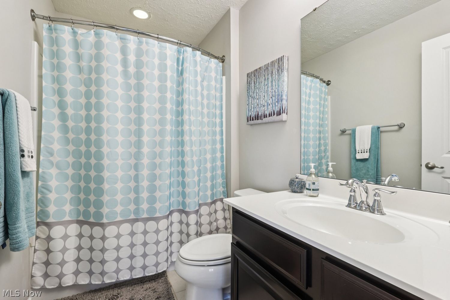817 Hilliary Lane Aurora OH 44202