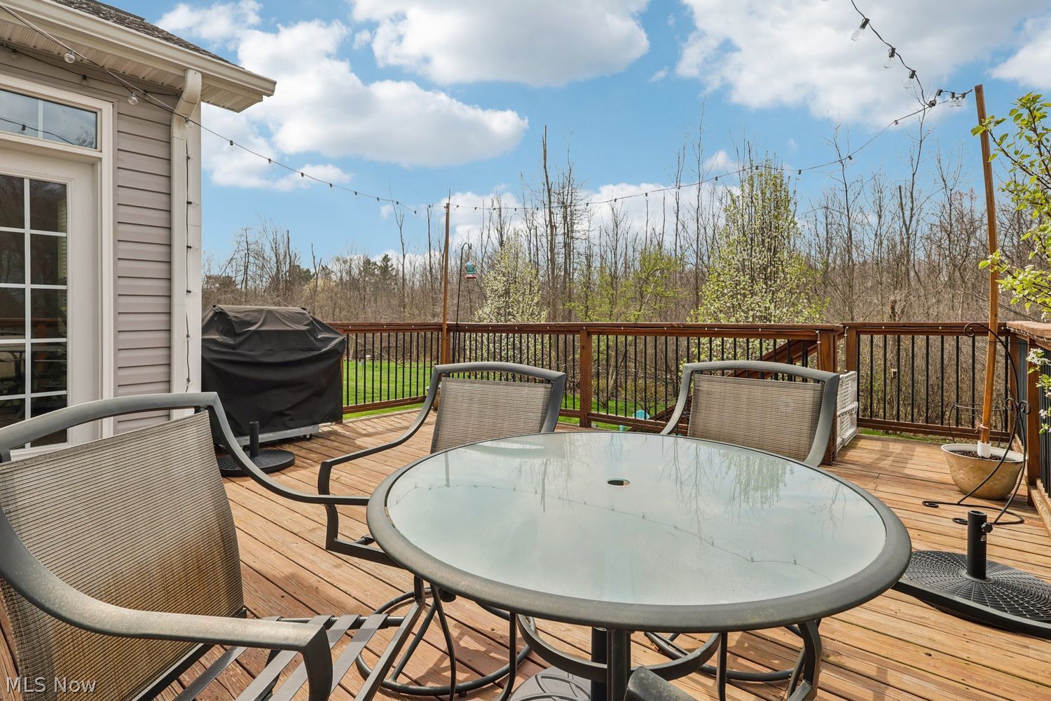 817 Hilliary Lane Aurora OH 44202