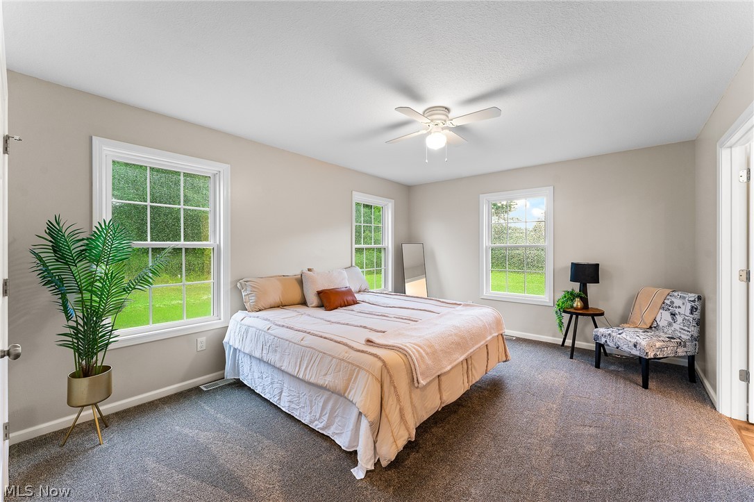 406 S Raccoon Road Austintown OH 44515