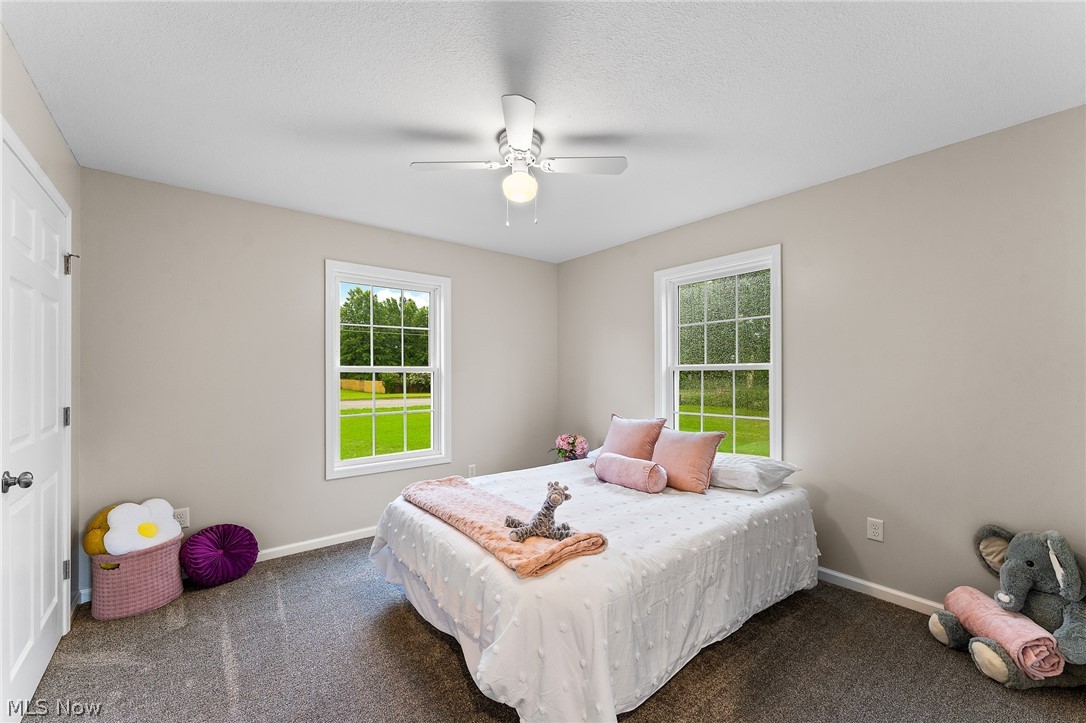 406 S Raccoon Road Austintown OH 44515