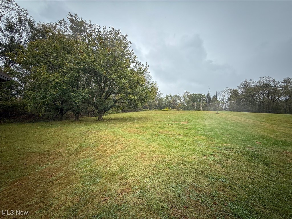 1667 County Road 11 Dillonvale OH 43917
