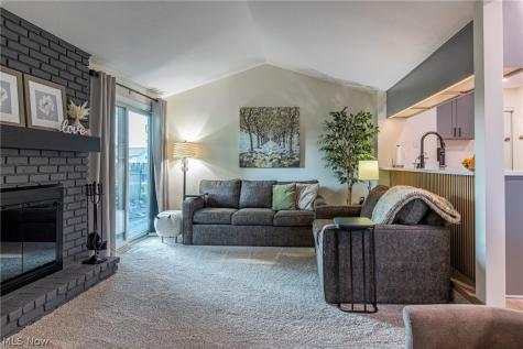 419 Ridgewood Drive Eastlake OH 44095