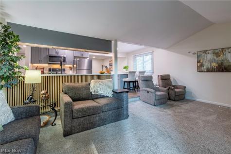 419 Ridgewood Drive Eastlake OH 44095