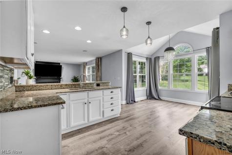 12066 Nathaniel Lane Twinsburg OH 44087