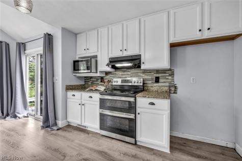 12066 Nathaniel Lane Twinsburg OH 44087