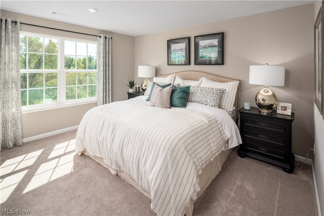 3270 Sandmill Run Amherst OH 44001