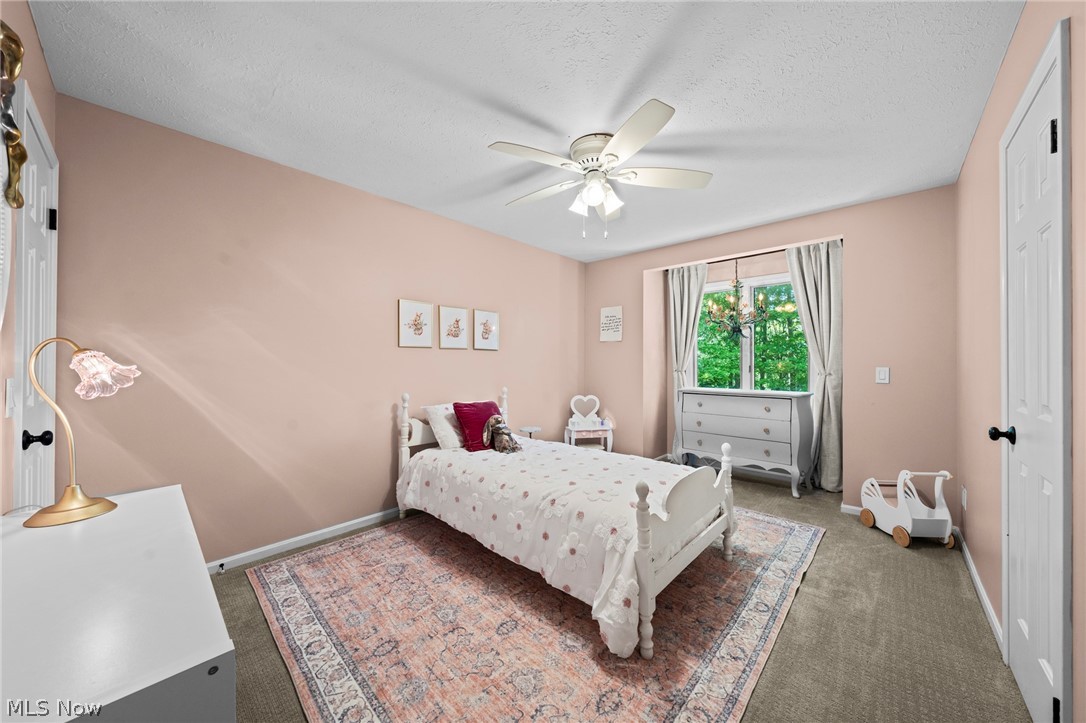 11535 Blackberry Lane Chesterland OH 44026
