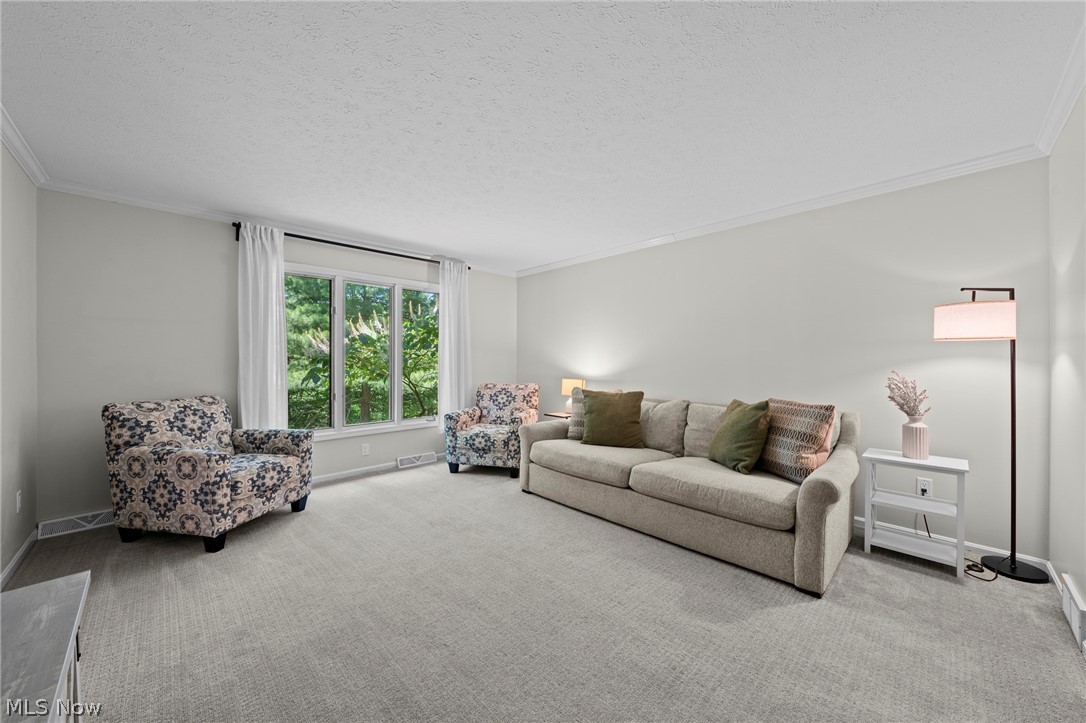 11535 Blackberry Lane Chesterland OH 44026