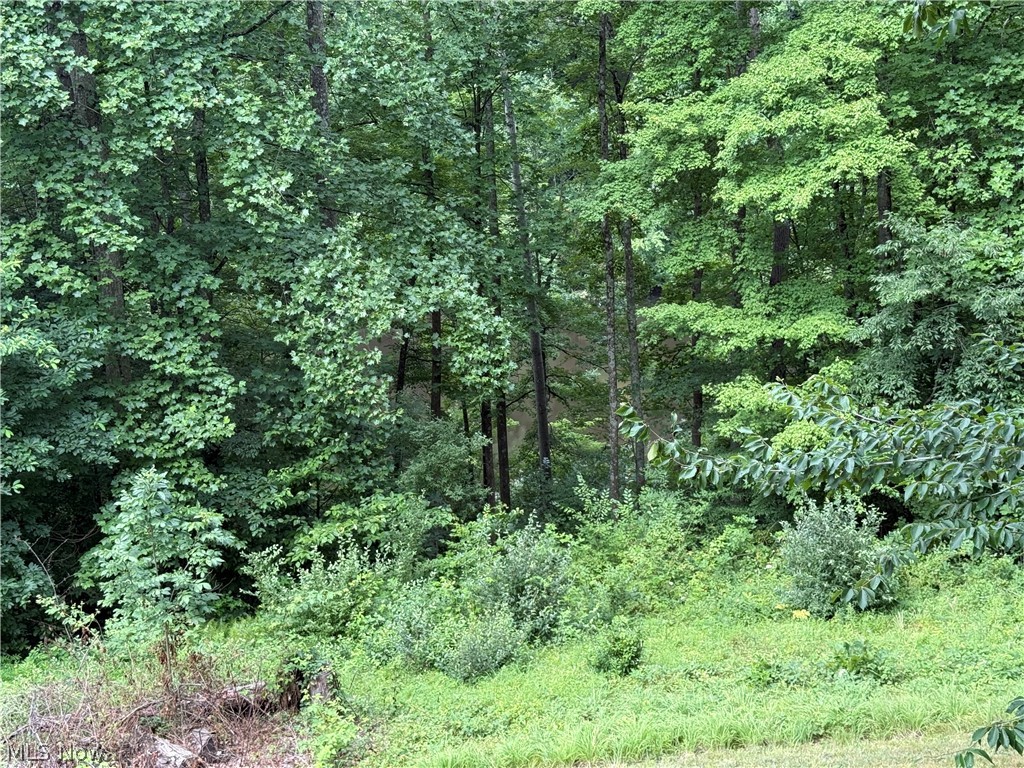 2699 Ruswil Drive Millersburg OH 44654
