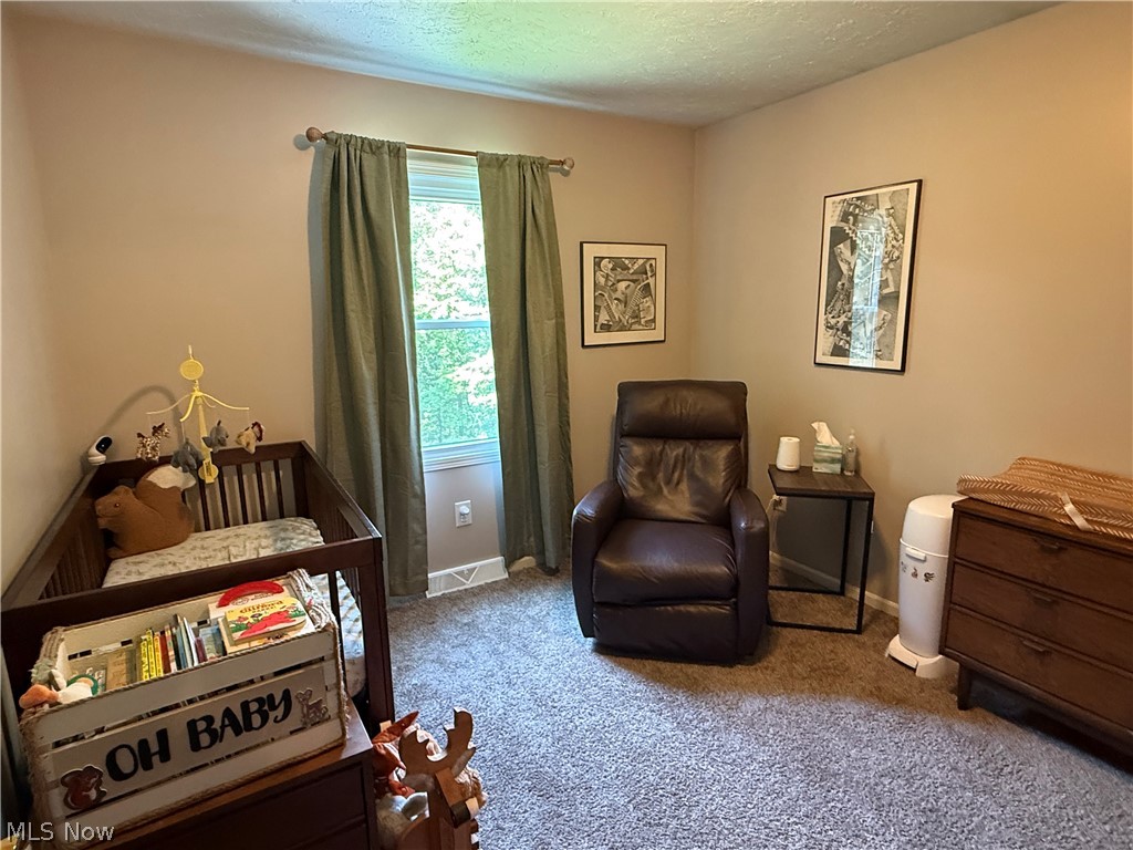 2699 Ruswil Drive Millersburg OH 44654