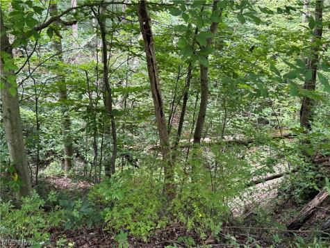 2699 Ruswil Drive Millersburg OH 44654