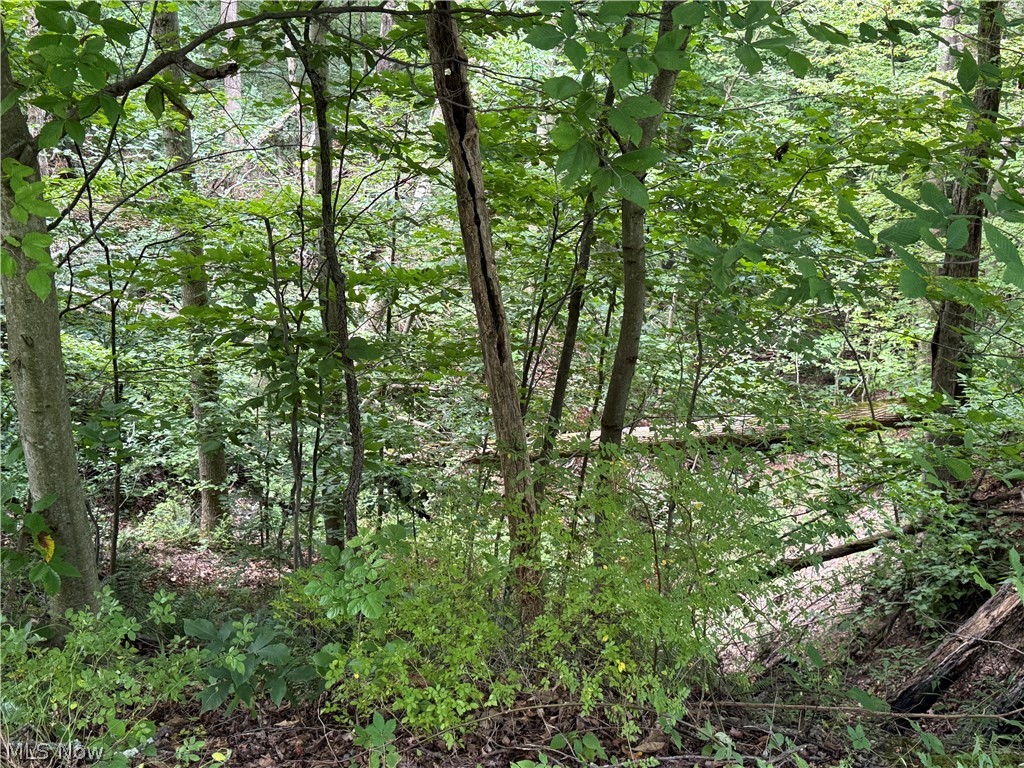 2699 Ruswil Drive Millersburg OH 44654