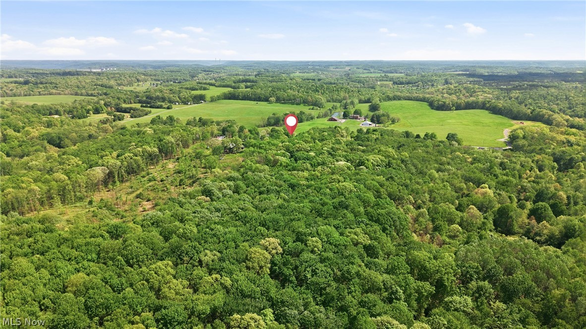 41534 Alderlick Road Wellsville OH 43968