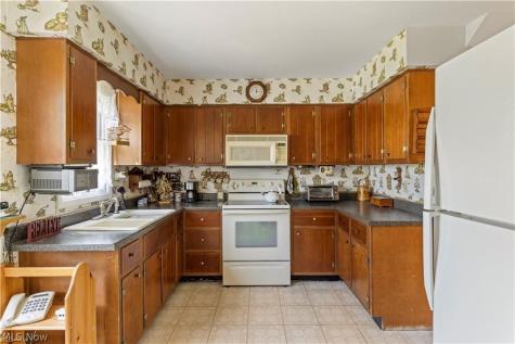 8295 Mentorwood Drive Mentor OH 44060