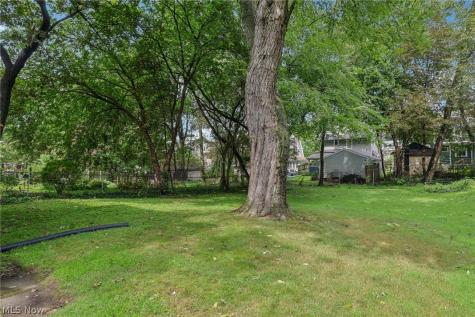 989 Amelia Avenue Akron OH 44302