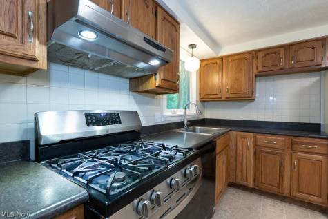3670 Sea Ray Cove Aurora OH 44202