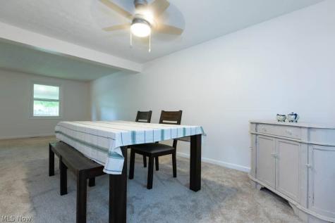 3670 Sea Ray Cove Aurora OH 44202