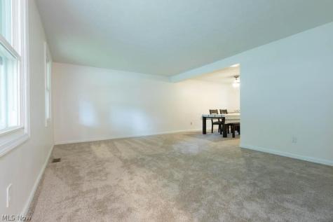 3670 Sea Ray Cove Aurora OH 44202