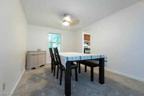3670 Sea Ray Cove Aurora OH 44202