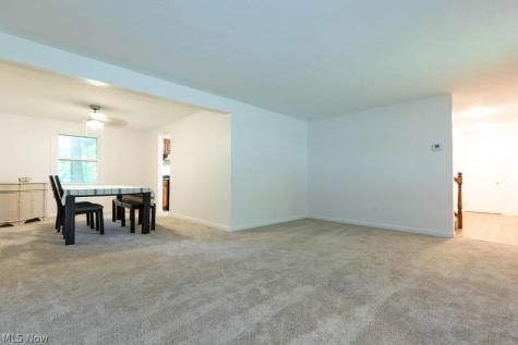3670 Sea Ray Cove Aurora OH 44202