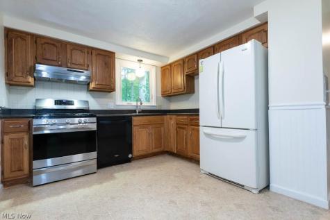 3670 Sea Ray Cove Aurora OH 44202