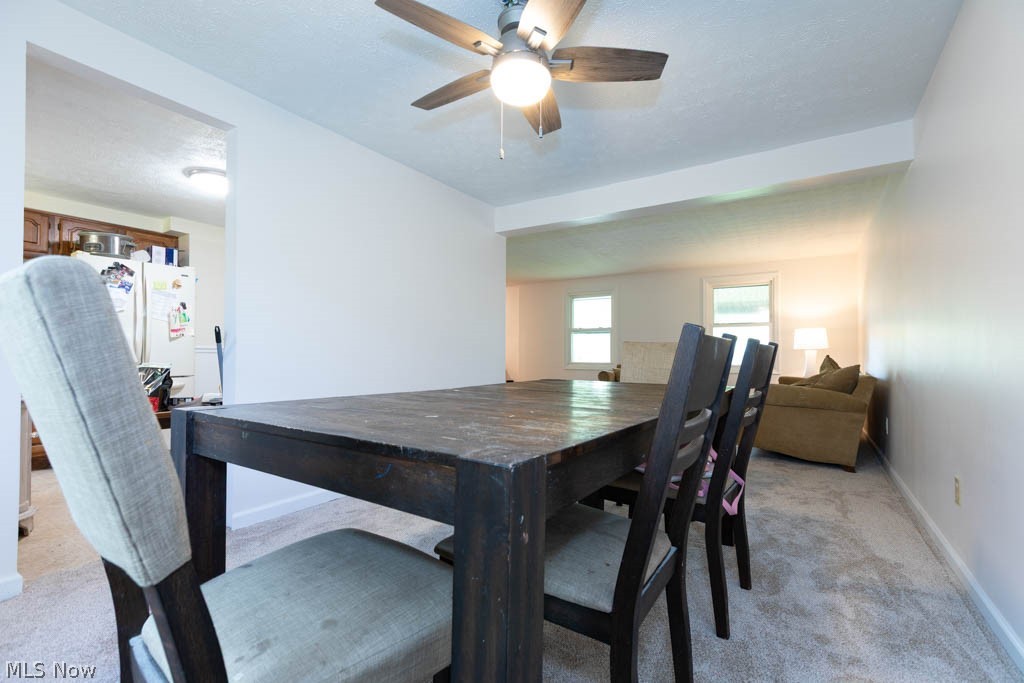 3670 Sea Ray Cove Aurora OH 44202