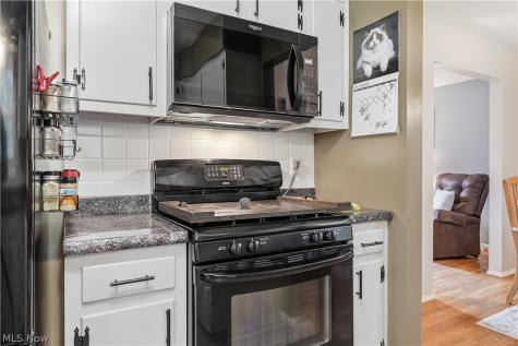 6124 Sherwood Drive North Olmsted OH 44070