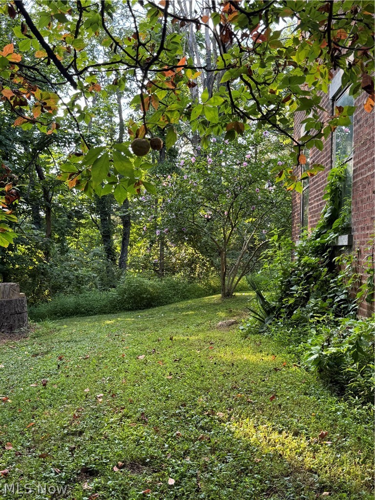 18 Orchard Drive Martins Ferry OH 43935
