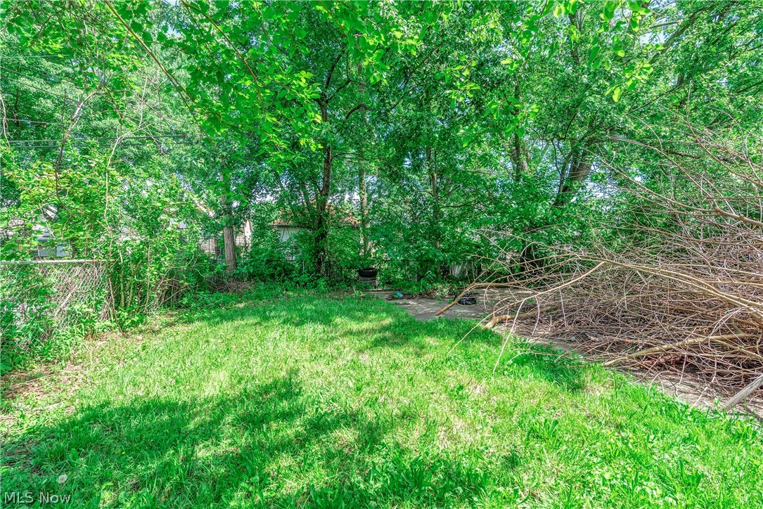 8005 Vineyard Avenue Cleveland OH 44105