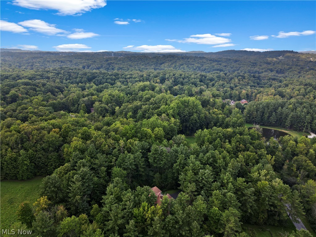 11360 Pine Acres Lane Chesterland OH 44026